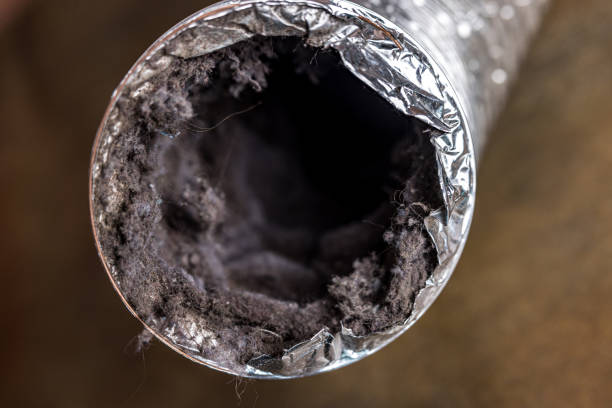 Best Ductwork Cleaning Services  in Grayson, CA